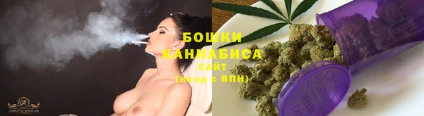 спайс Нея