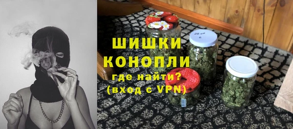 спайс Нея