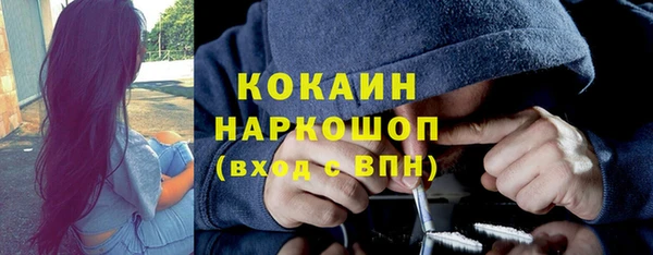 спайс Нея