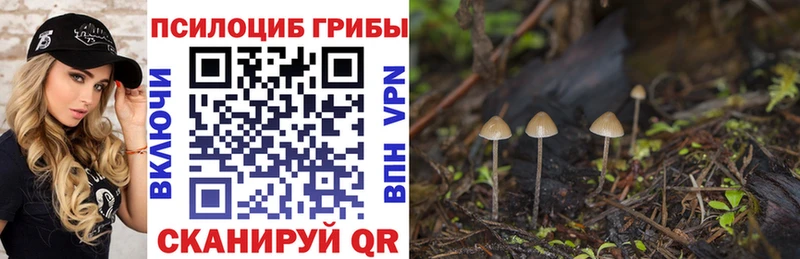 Псилоцибиновые грибы GOLDEN TEACHER  Купить закладки  Павловский Посад 